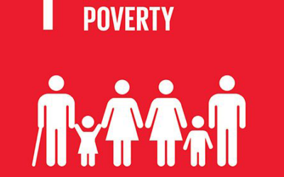 2023 SDG 1.3.3