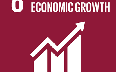 2023 SDG 8.2.4