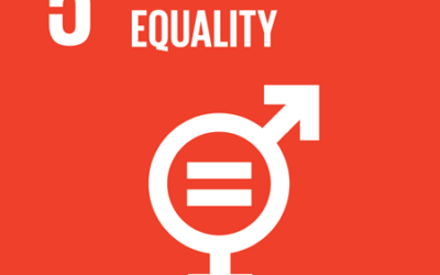 2023 SDG 5.3.3