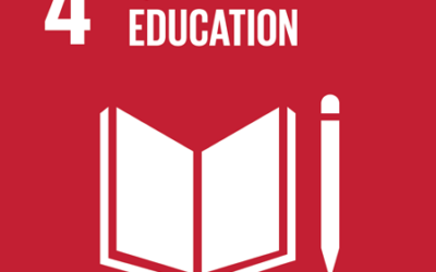 2023 SDG 4.3.4