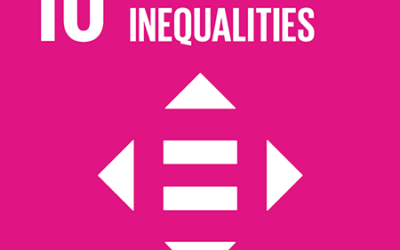 2023 SDG 10.1.3