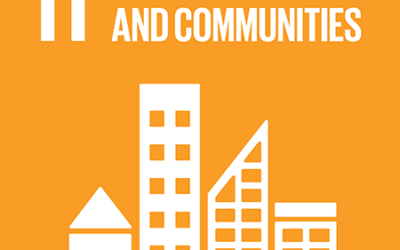 2023 SDG 11.3.7