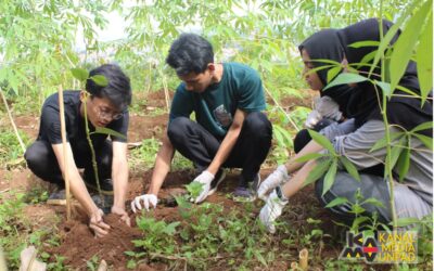 The student organization International Association of Agricultural Students and Related Sciences (IAAS)